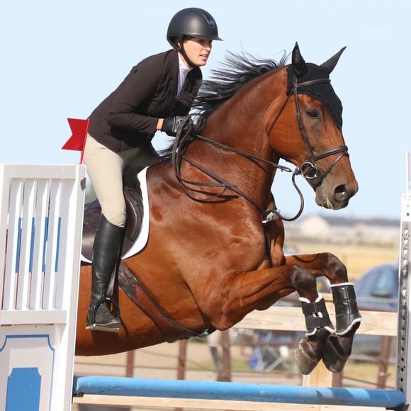 Meet your Posher, Shannon - Picture 1 of 1